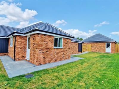 Alternate Rear Views